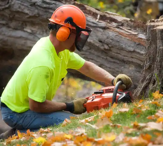 tree services Jamestown West